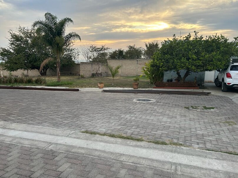 tonala jalisco