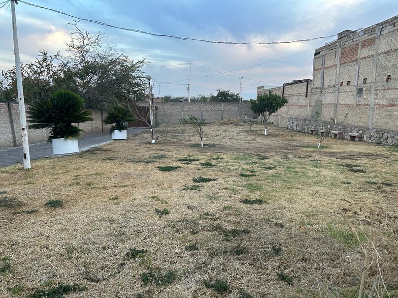 tonala jalisco
