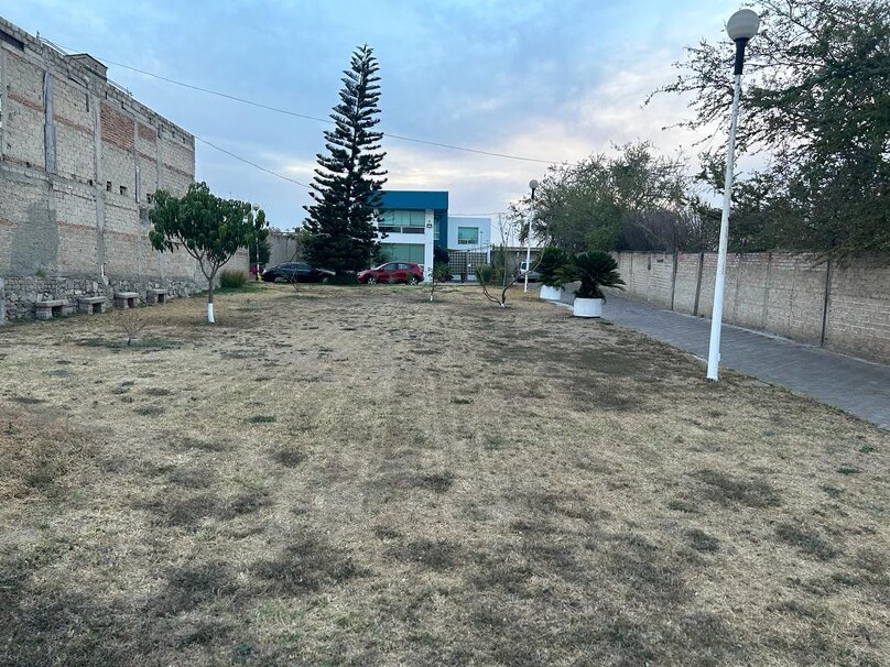 tonala jalisco