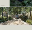 Hermosas casas Selva Maya at Harmony en preventa en Tulum
