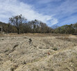 TERRENO EN VENTA EN LOS ROBLES RESIDENCIAL