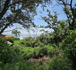 Terreno en venta en El Palomar
