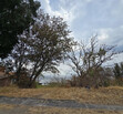 Terreno en venta en El Palomar