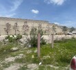 PUNTA LOMA